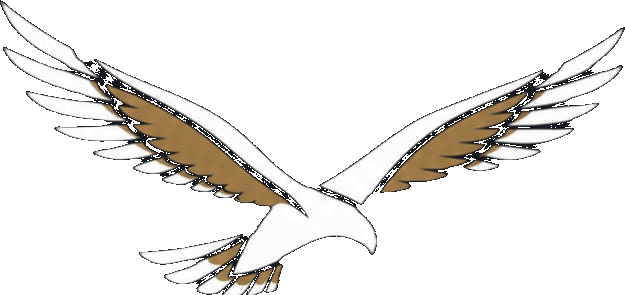 Harrier